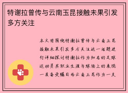 特谢拉曾传与云南玉昆接触未果引发多方关注